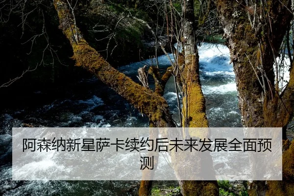 阿森纳新星萨卡续约后未来发展全面预测