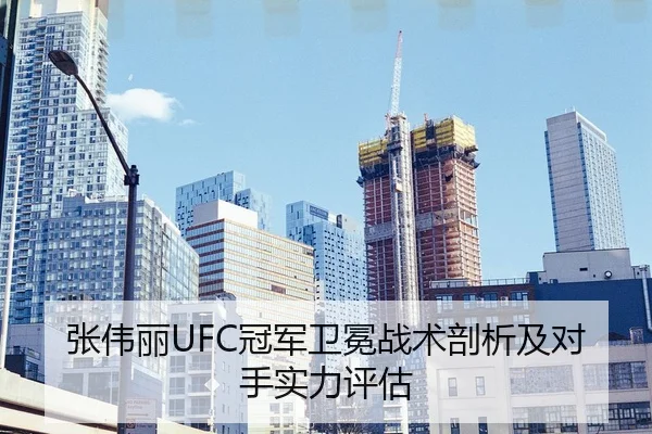 张伟丽UFC冠军卫冕战术剖析及对手实力评估